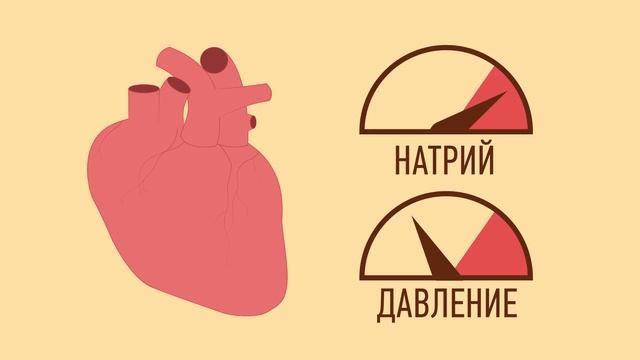 ЧТО БУДЕТ С ОРГАНИЗМОМ ПОСЛЕ БИГ МАКА? смотреть онлайн