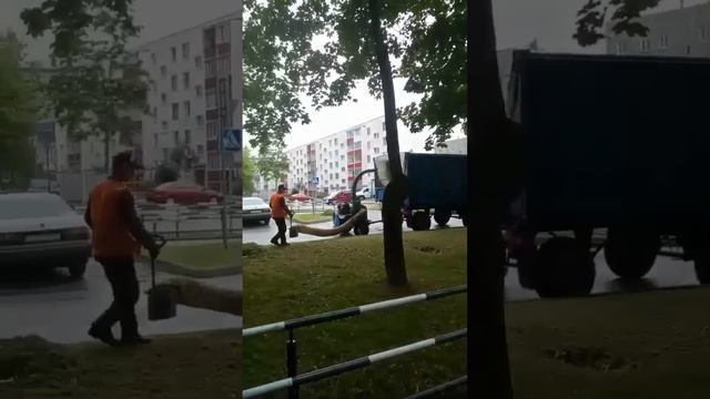 Почему в Беларуси порядок! Слабонервным не смотреть! смотреть онлайн