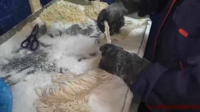 Как распутывать пучок свиной черевы. смотреть онлайн