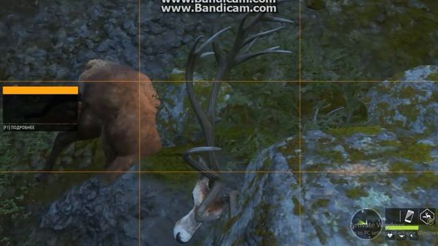 $the Hunter call of the wild $ KILL SHOOT COMPILATION (8-MYSTICAL RED DEER & 243 ROE DEER) (tr) смотреть онлайн