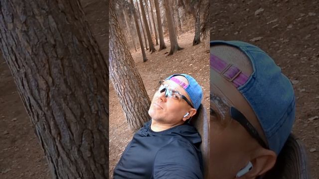 Как выглядит Лесной релакс... смотреть онлайн