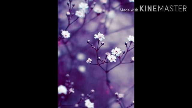 Мои обои на телефоне смотреть онлайн