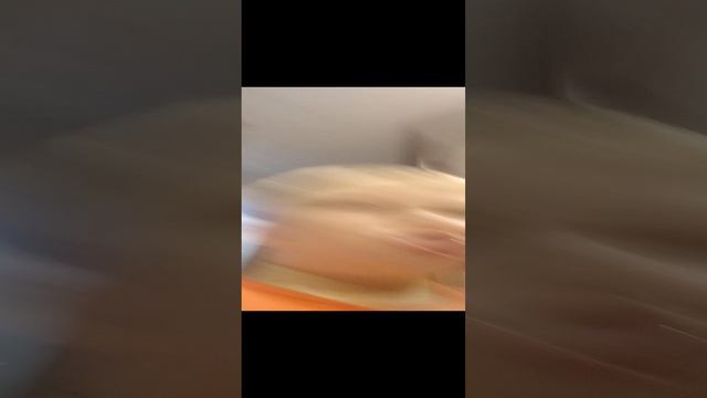 1000022275.mp4 смотреть онлайн
