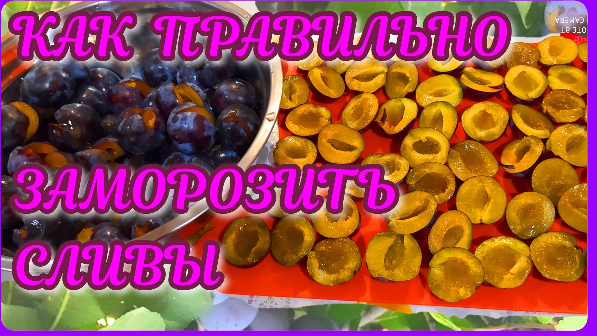 Заморозка сливы на зиму! Несколько способов! смотреть онлайн