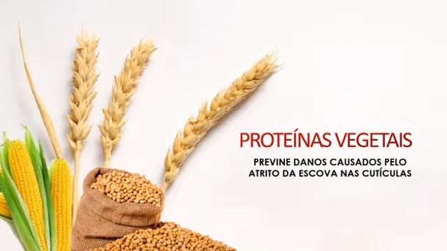 Fluidifier Loreal Professionnel - Lançamento 2021 смотреть онлайн