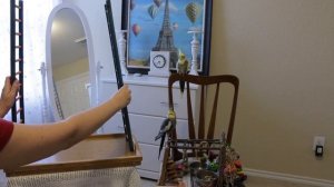 КАК СДЕЛАТЬ ИГРОВОЙ СТЕНД ДЛЯ ПОПУГАЯ СВОИМИ РУКАМИ | ИГРОВАЯ ПЛОЩАДКА ДЛЯ ПОПУГАЕВ