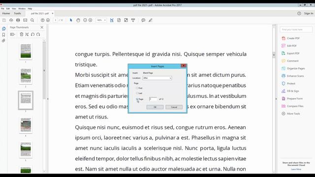 How to Insert Blank Page to Existing PDF Document in Adobe Acrobat Pro 2017 смотреть онлайн