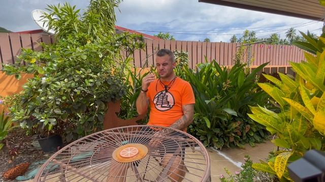 De la Belgique à Tahiti, le témoignage de Benjamin смотреть онлайн