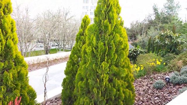 Матросский бульвар.СЕВАСТОПОЛЬ. 2021 г. смотреть онлайн