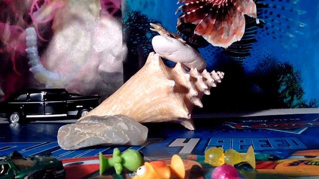 НОВАЯ Анимация || Челлендж-стикиз Сильпо "Клуб Стикизов" прилипалы || Друзья акулы || Детский канал смотреть онлайн