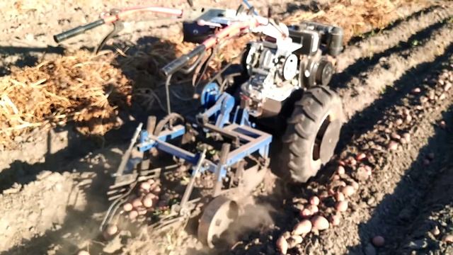 Мотоблок кіпор, робота з картоплекопалкой. смотреть онлайн