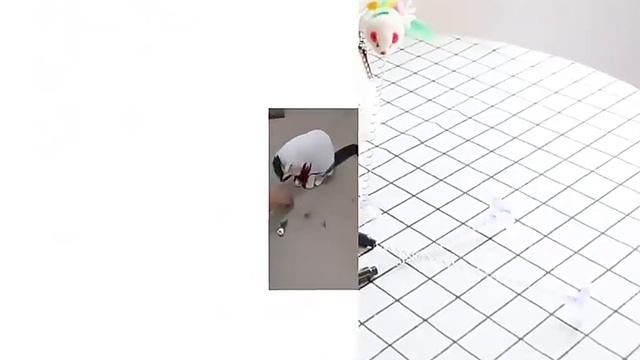 Мультяшная игрушка для кошек https://2my.site/J91iWcm смотреть онлайн