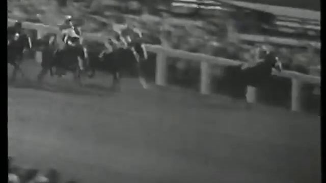 Sea-Bird - World Champion Racehorse - 1965 смотреть онлайн