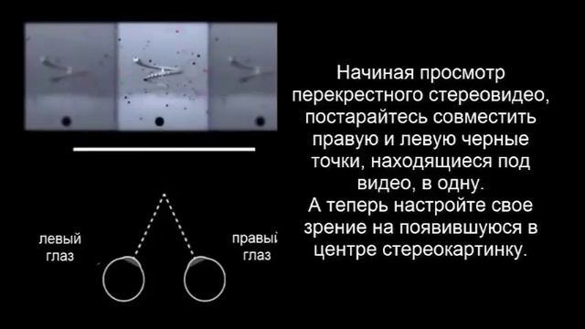 Быстрое улучшение зрения смотреть онлайн