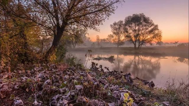 Шуберт Мюллер Водный поток Борис Гмыря смотреть онлайн