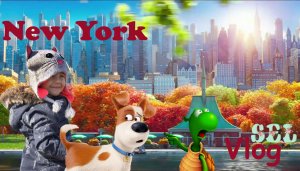 Vlog Нью Йорк Черепаха Утонула! Тайная Жизнь Домашних Животных Гуляем с Максом