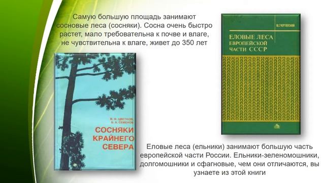 Зеленые легкие планеты смотреть онлайн