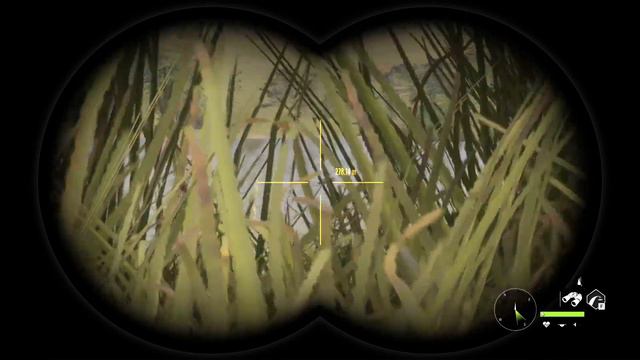 Almost vanilla Call of the Wild - Savanna Hunter Pt. 528 смотреть онлайн