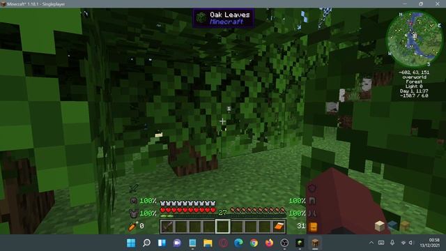 Minecraft Java 1.18.1 Top 10 Best Fabric Mods For Minecraft 1.18.1 (My Best Fabric Mods) (No Forge) смотреть онлайн