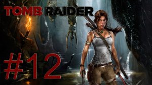 Tomb Raider 2013 - Ещё одна гробница - Прохождение игры на русском [#12] | PC (2013 г.)