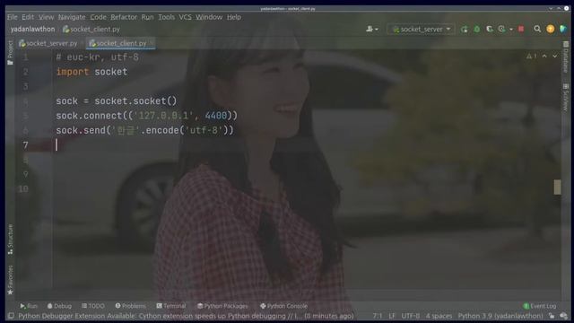 파이썬 네트워크 프로그래밍 스물 세 번째 시간 - socket.recv, socket.send 메서드 이야기 part 4 смотреть онлайн