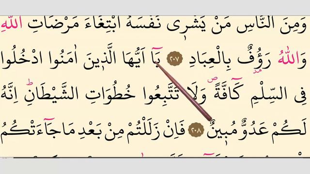 Quran Lessons with Practical Tajweed! Surah al-Baqarah, Verses 204-210 سورۃ البقرۃ #Lesson40 смотреть онлайн