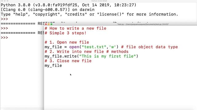 Python Basics: Create files in Python! 3 simple steps! смотреть онлайн