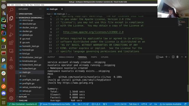 Nuvolaris Training - Developing in Go the nuv cli смотреть онлайн