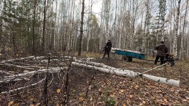 Жизнь в деревне. Заготовка дров. Перевозим на мотоблоке бревна. смотреть онлайн