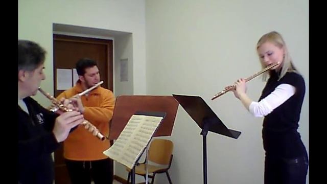 F.KUHLAU TRIO op.86 - Scherzo смотреть онлайн