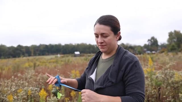 Прогулка в заповеднике у дома в Шарлотт, Северная Каролина