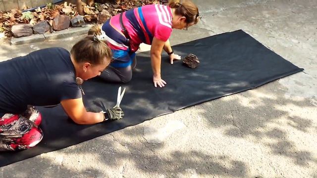 Осіння посадка полуниці. Мій досвід посадки полуниці на агроволокно. смотреть онлайн