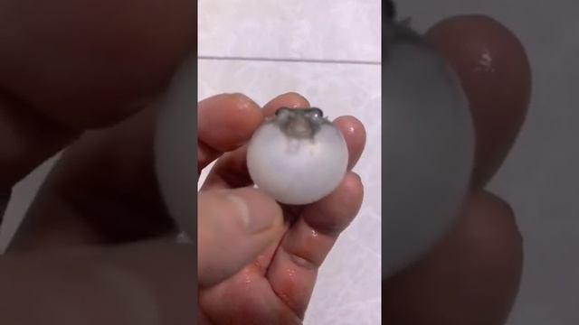 МАЛЕНЬКАЯ РЫБА ФУГУ!!! смотреть онлайн