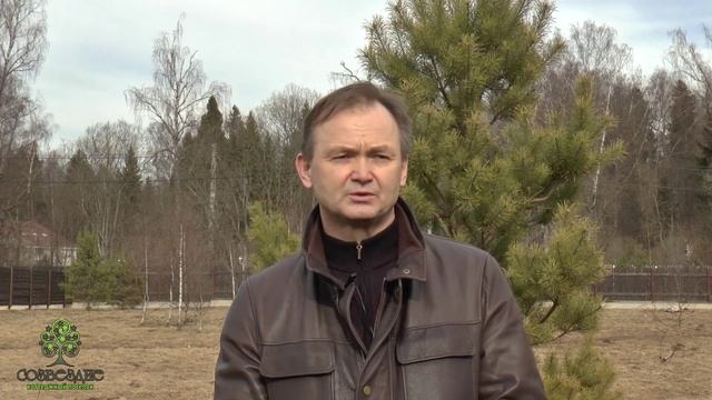 Участки в Калужской области по Калужскому шоссе. Газ, электричество от 140 000 р. за сотку смотреть онлайн