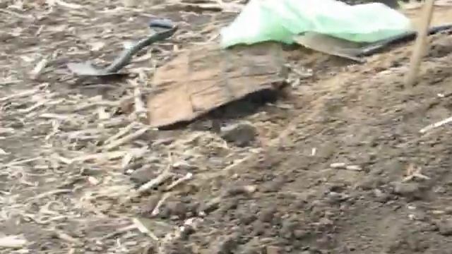 Советская алюминиевая фляга, каска, солдатский котелок - личные смотреть онлайн