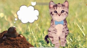 Little Kitten - My Favorite Cat Gameplay Fun Kids Kitten Games