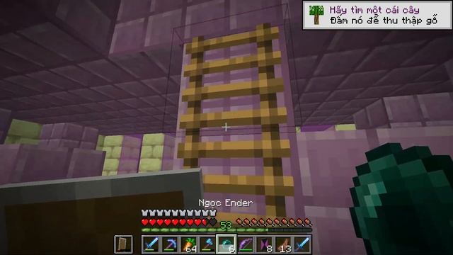 Minecraft Java Edition 1.19 Survival Part 67:End City смотреть онлайн