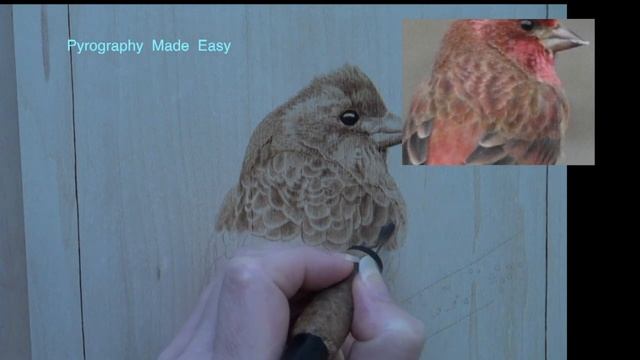 Wood Burning - Purple Finch Bird - pyrography tutorial смотреть онлайн