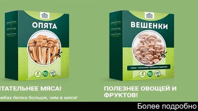 Домашняя грибница шампиньоны смотреть онлайн