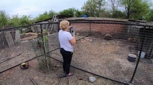 Строим загоны для курей и уток.