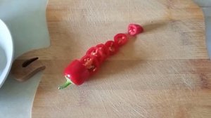 Сладкий перец Гномик, куст усыпанный плодами. Семена. Обзор. Классная дача.