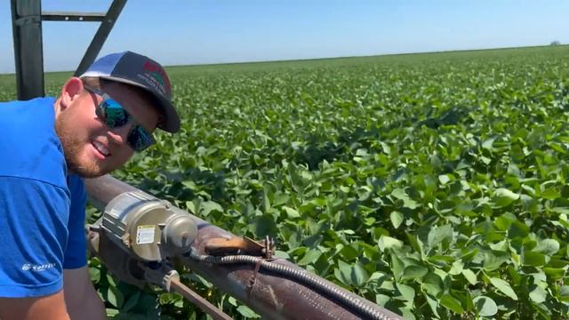 No Farmers Tan Here смотреть онлайн