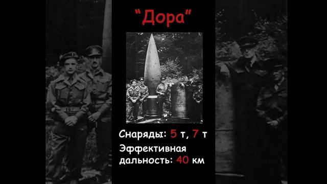 А знаете ли вы... (Вундервафля ДОРА) #shorts смотреть онлайн