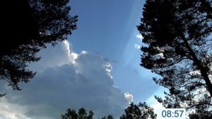 Уничтожение всех вирусов и микробов, грибков и спор грибков Настрои Сытина Г.Н.