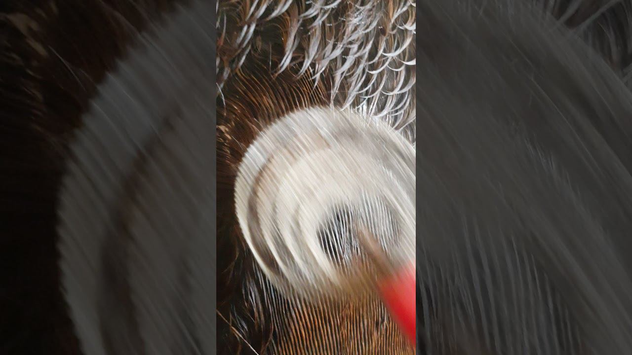 Конь "в мыле" смотреть онлайн