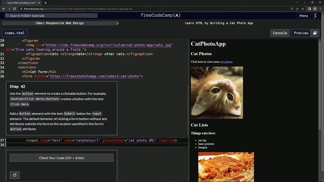 Learn HTML by Building a Cat Photo App - Step 42 смотреть онлайн