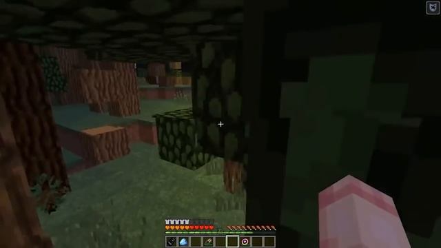 Я прожил 500 Дней с Камнем Желаний в Майнкрафт смотреть онлайн