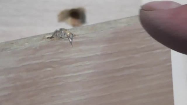 Мебельный шкант смотреть онлайн