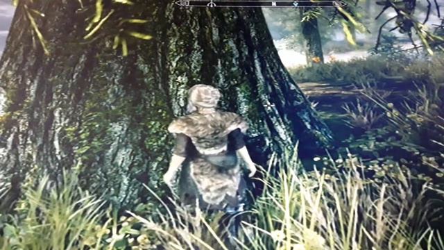 SKYRIM  BIGGER  TREES HOMMAGE À NOTRE-DAME DE PARIS
