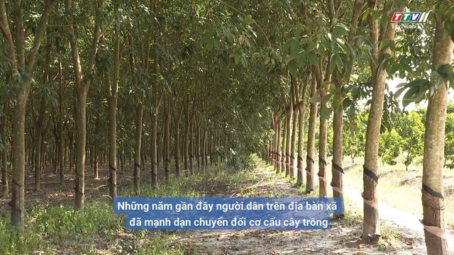 TAY NINH’S BORDER ECONOMY IS TRANSFORMING | BUILDS NEW STYLE RURAL AREAS смотреть онлайн